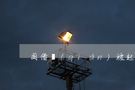 因借錢(qián)被起訴了(借款被起訴)