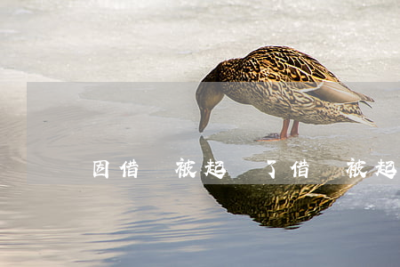因借錢被起訴了(借錢被起訴了怎么辦)