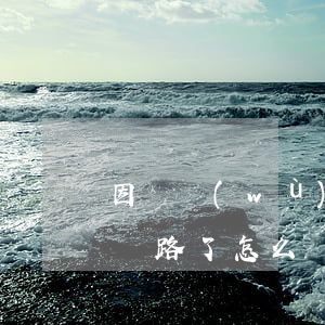 因債務(wù)走投無路怎么辦-欠債走投無路了怎么辦