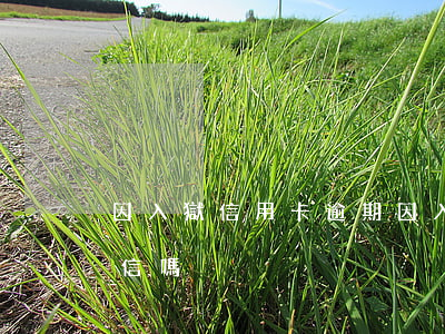 因入獄信用卡逾期(因入獄信用卡逾期影響征信嗎)