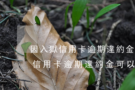 因入獄信用卡逾期違約金可以免嗎-因坐牢信用卡逾期違約金可以減免嗎