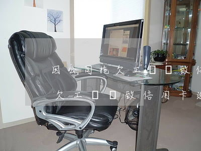 因公司拖欠工資導致信用卡逾期-因公司拖欠工資導致信用卡逾期怎么辦