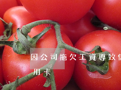 因公司拖欠工資導致信用卡逾期 長期拖欠信用卡