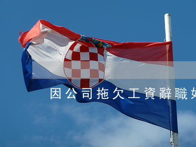 因公司拖欠工資辭職如何起訴索賠