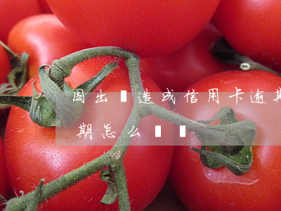 因出國造成信用卡逾期(因出國造成信用卡逾期怎么賠償)