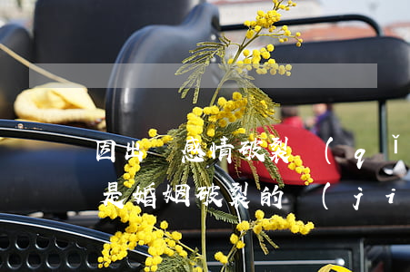 因出軌感情破裂請(qǐng)求離婚(出軌是婚姻破裂的結(jié)果)