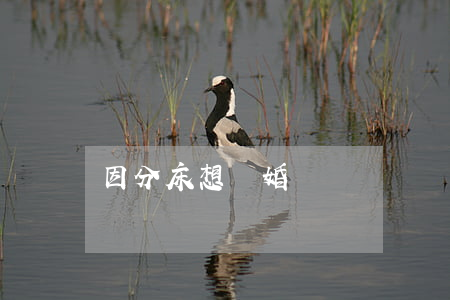 因分床想離婚