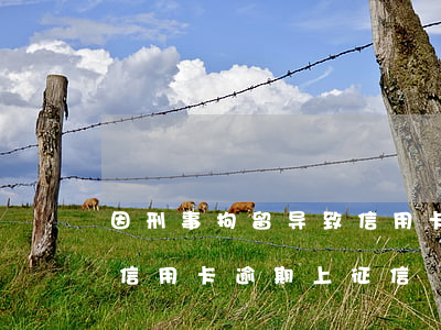 因刑事拘留导致信用卡逾期(因刑事拘留导致信用卡逾期上征信)