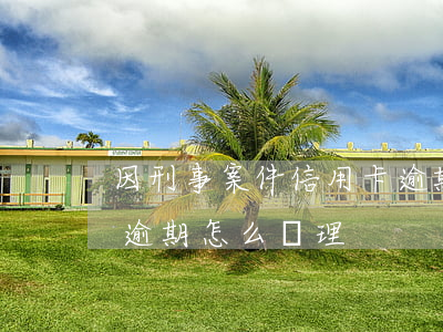 因刑事案件信用卡逾期-因刑事案件信用卡逾期怎么處理