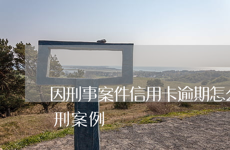 因刑事案件信用卡逾期怎么辦（信用卡逾期量刑案例）