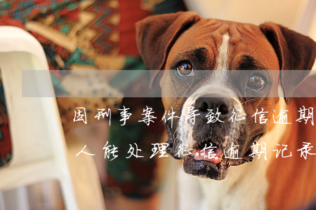 因刑事案件导致征信逾期记录怎么能消除(有人能处理征信逾期记录)