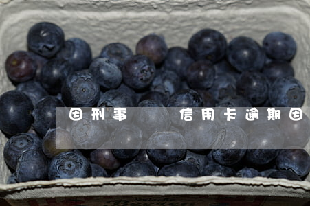 因刑事處罰信用卡逾期(因服刑信用卡逾期)