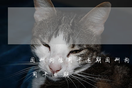 因刑拘信用卡逾期(因刑拘導(dǎo)致信用卡逾期)
