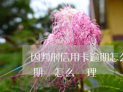 因判刑信用卡逾期怎么辦（坐牢造成信用卡逾期該怎么處理）
