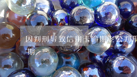 因判刑导致信用卡逾期（老公判刑后信用卡逾期）