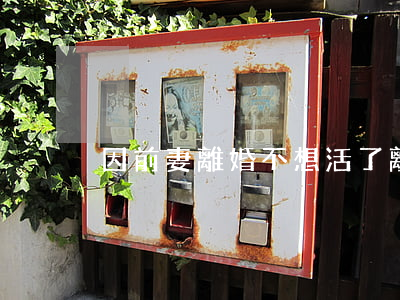 因前妻離婚不想活了(離婚了很想前妻怎么辦)