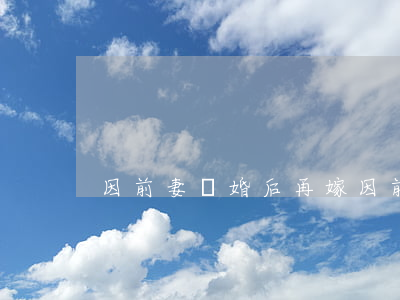 因前妻離婚后再嫁(因前妻離婚后再嫁)