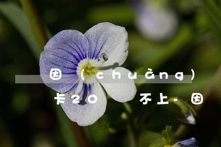 因創(chuàng)業(yè)欠了信用卡20萬還不上-因創(chuàng)業(yè)欠了信用卡20萬還不上怎么辦