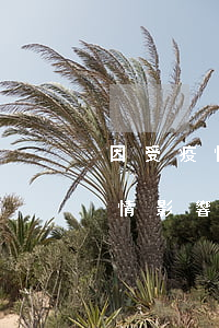 因受疫情影響信用卡逾期了怎么辦-因受疫情影響信用卡逾期了怎么辦理