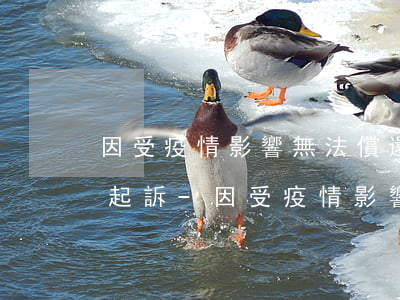 因受疫情影響無法償還網(wǎng)貸被起訴-因受疫情影響無法償還網(wǎng)貸被起訴怎么辦