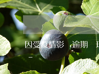 因受疫情影響逾期辦理納稅申報(bào)-