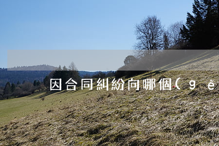 因合同糾紛向哪個(gè)部門起訴