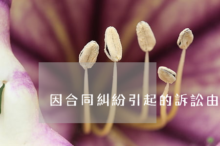 因合同糾紛引起的訴訟由哪個法院管轄
