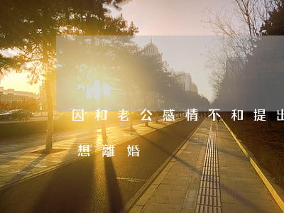 因和老公感情不和提出離婚(和老婆感情不好想離婚)