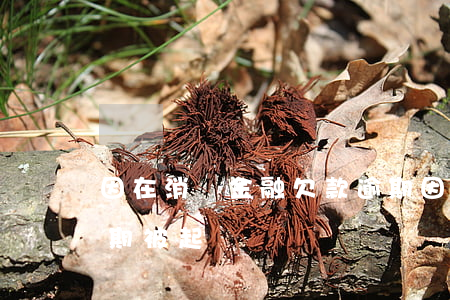 因在消費金融欠款逾期(因在消費金融欠款逾期被起訴)