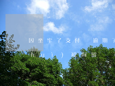 因坐牢了支付寶逾期了(欠支付寶逾期了 會(huì)被拘留嗎)