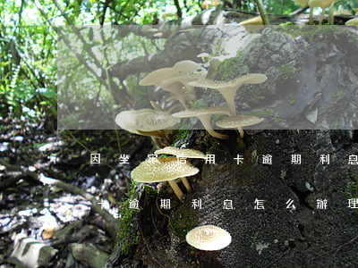 因坐牢信用卡逾期利息怎么辦-因坐牢信用卡逾期利息怎么辦理