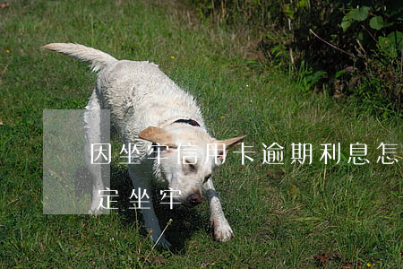 因坐牢信用卡逾期利息怎么辦（信用卡逾期一定坐牢）