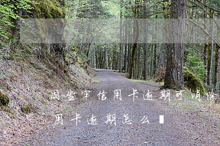 因坐牢信用卡逾期可消除嗎（如果坐牢耽誤信用卡逾期怎么辦）
