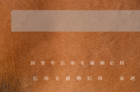 因坐牢信用卡逾期后算惡意透支嗎-因坐牢信用卡逾期后算惡意透支嗎怎么辦