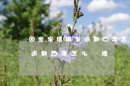因坐牢信用卡逾期四年怎么辦 因坐牢信用卡逾期四年怎么辦理
