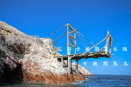 因坐牢信用卡逾期怎么挽回(被刑拘導(dǎo)致信用卡逾期怎么辦)