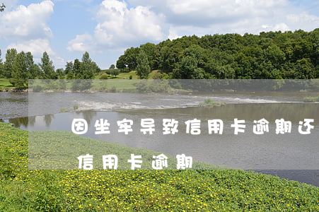 因坐牢导致信用卡逾期还款(因为进监狱导致信用卡逾期)