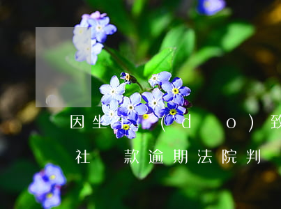 因坐牢導(dǎo)致信用社貸款逾期（信用社貸款逾期法院判決）