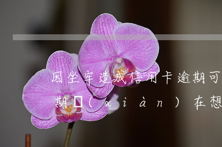 因坐牢造成信用卡逾期可以消除嗎（信用卡逾期現(xiàn)在想坐牢）