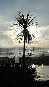 因培訓(xùn)費(fèi)逾期打官司會(huì)怎樣(培訓(xùn)機(jī)構(gòu)怕打官司嗎)