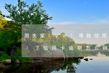 因失業(yè)導致信用卡逾期(失業(yè)了信用卡逾期怎么辦)