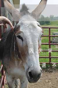 因失業(yè)還不起信用卡(因失業(yè)還不起信用卡)