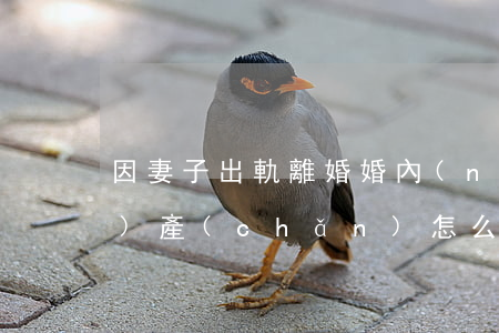 因妻子出軌離婚婚內(nèi)財(cái)產(chǎn)怎么分配(妻子出軌,離婚后夫妻財(cái)產(chǎn)分割)