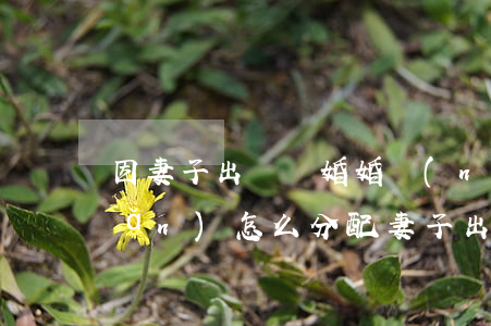 因妻子出軌離婚婚內(nèi)財產(chǎn)怎么分配(妻子出軌,離婚后夫妻財產(chǎn)分割)