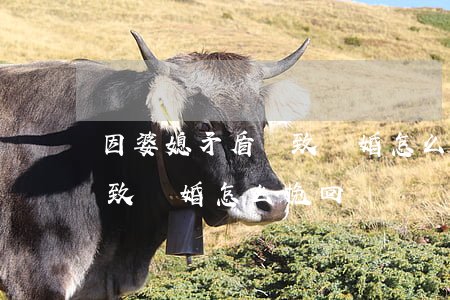 因婆媳矛盾導致離婚怎么挽回(因婆媳矛盾導致離婚怎么挽回)