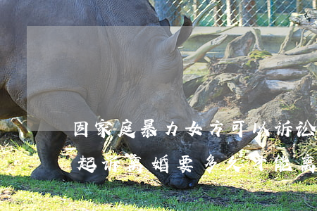 因家庭暴力女方可以诉讼离婚吗(女方因家暴起诉离婚要多久才能离)