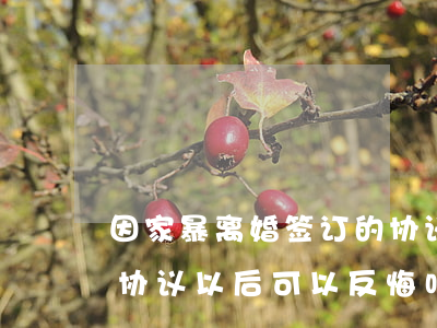 因家暴离婚签订的协议可以反悔吗(签署离婚协议以后可以反悔吗)