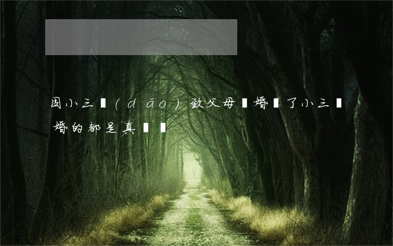 因小三導(dǎo)致父母離婚(為了小三離婚的都是真愛嗎)