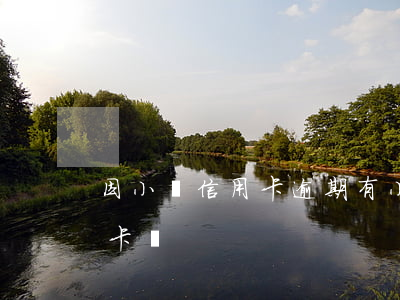 因小額信用卡 逾期 有小額逾期可以辦理信用卡嗎