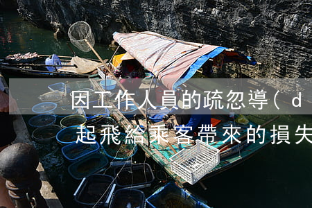 因工作人員的疏忽導(dǎo)致飛機延遲起飛給乘客帶來的損失,航空公司要承擔(dān)責(zé)任